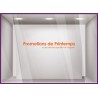 Stickers-Promotions de Printemps-SOLDES-vitrine-devanture-boutique-lettrage adhesif-autocollant geant