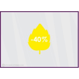 Sticker Promotion Feuille -40%