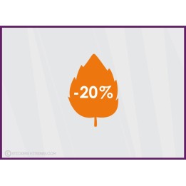 Sticker Promotion Feuille -20%