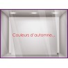 Sticker Couleurs d'Automne devanture decoration boutique commerce calicot lettrage adhesif