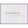 Sticker Promotions d'Automne devanture idee decoration commerce boutique adhesif 