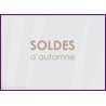 Sticker Soldes d'Automne commerce boutqiue vitrophanie idee decoration