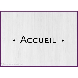 Sticker lettrage Accueil bureaux locaux professionnels porte vitre signalisation signaletique lettrage adhesif entreprise 
