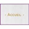 Sticker lettrage Accueil bureaux locaux professionnels porte vitre signalisation signaletique lettrage adhesif entreprise 