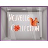 Sticker Nouvelle Collection Ecureuil adhésif vitrine boutique idee deco  automne
