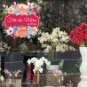 AUTOCOLLANT-ADHESIF-VITRES-DEVANTURE-BOUTIQUE-MAGASIN-FLEURISTE-CALICOT-IMPRIMEUR